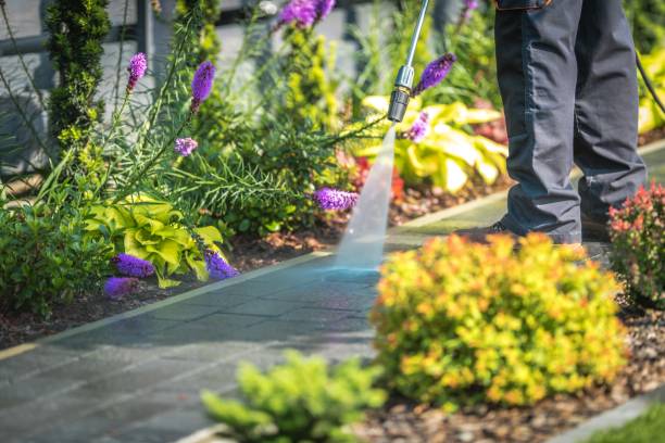  Swannanoa, NC Pressure Washing Pros